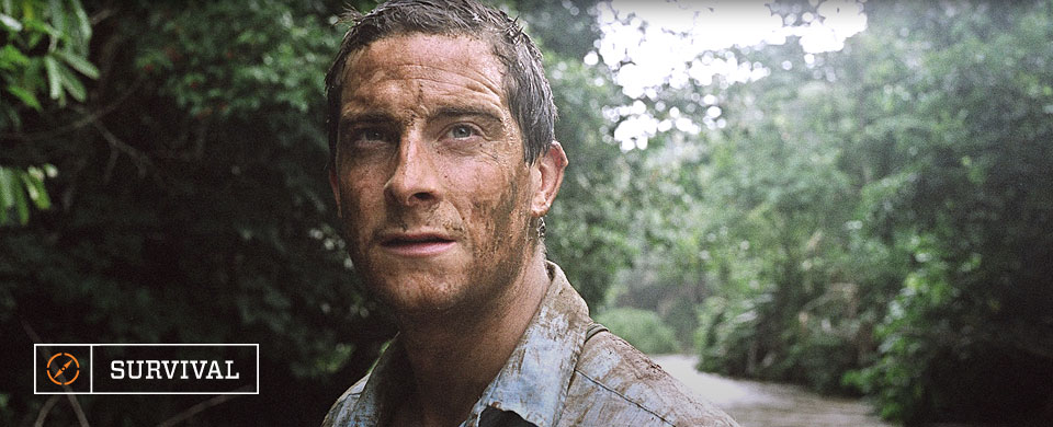 Bear Grylls Survival Bear Grylls Survival