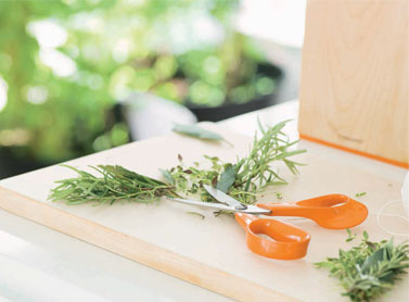 Fiskars Forbici Casa Cucina